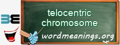 WordMeaning blackboard for telocentric chromosome